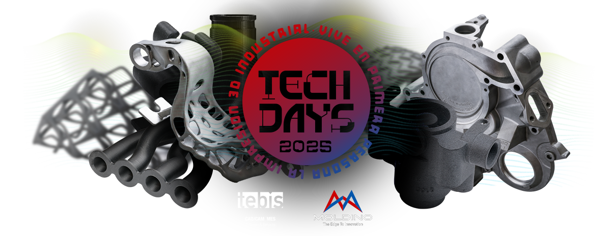 16 ENERO - TEBIS Y MOLDINO